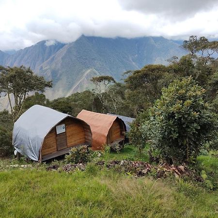Machupicchu Ecolodge 쿠스코 외부 사진