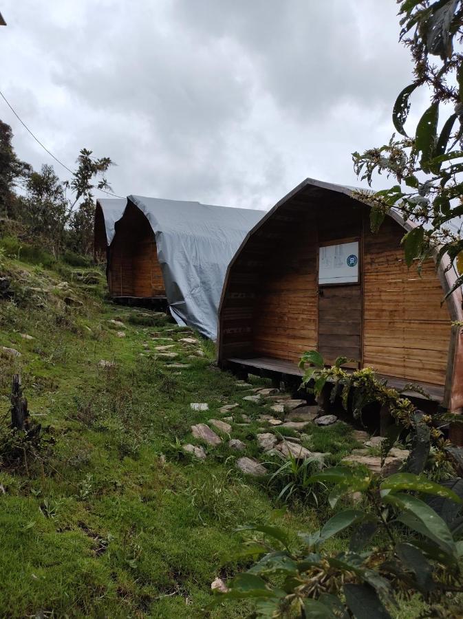 Machupicchu Ecolodge 쿠스코 외부 사진