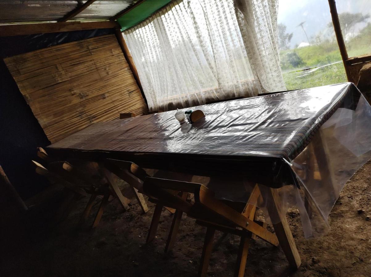 Machupicchu Ecolodge 쿠스코 외부 사진